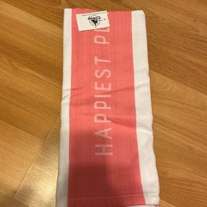 Disney Theme Park Dish Towels - 2 Pack